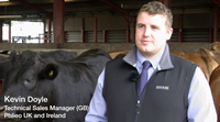 Video: Maximising efficiency in finishing beef cattle