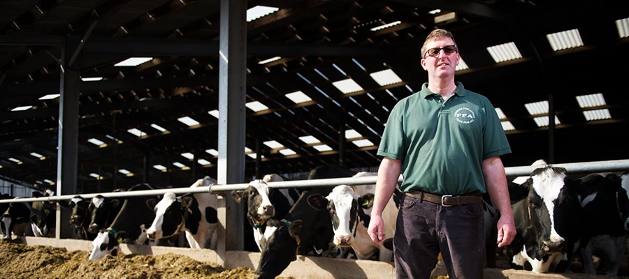 Live yeast maintains good rumen health whilst driving intakes