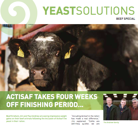 Yeast Solutions - beef special