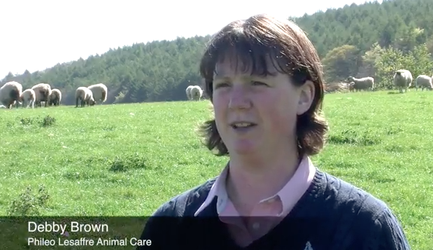 Video: Managing pre-lambing ewe nutrition