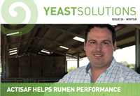 Autumn Yeast Solutions 2017
