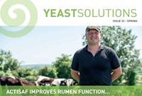 Spring Yeast Solutions 2019