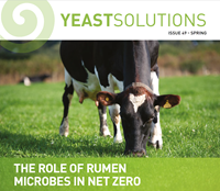 March 2023 Yeast Solutions