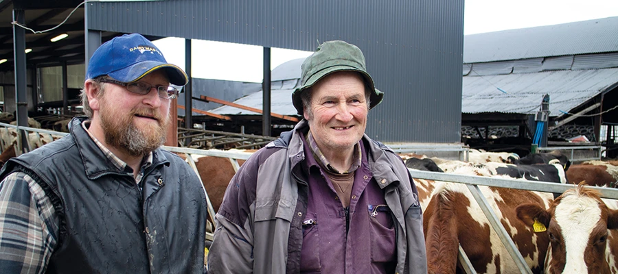 Successful use of Actisaf® and Safmannan® in a zero-grazing system