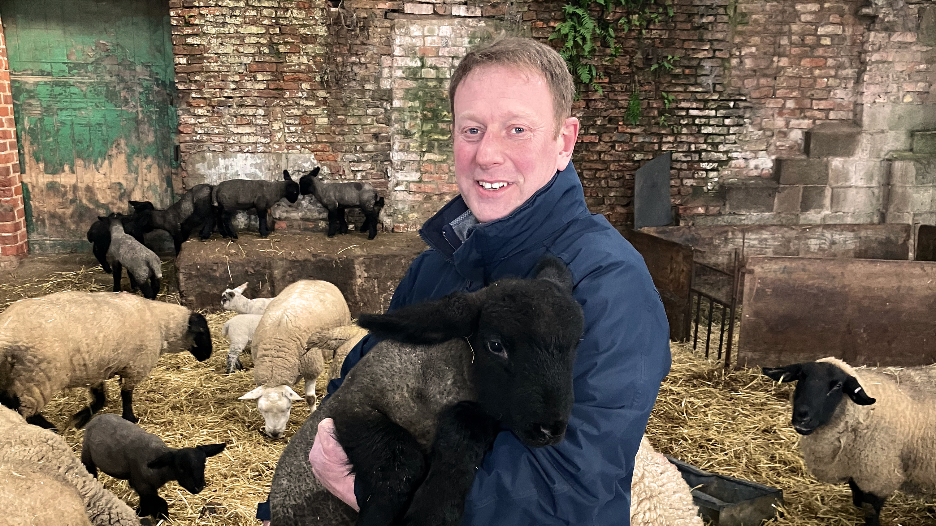 Safmannan® delivers stronger starts and faster lamb finishing