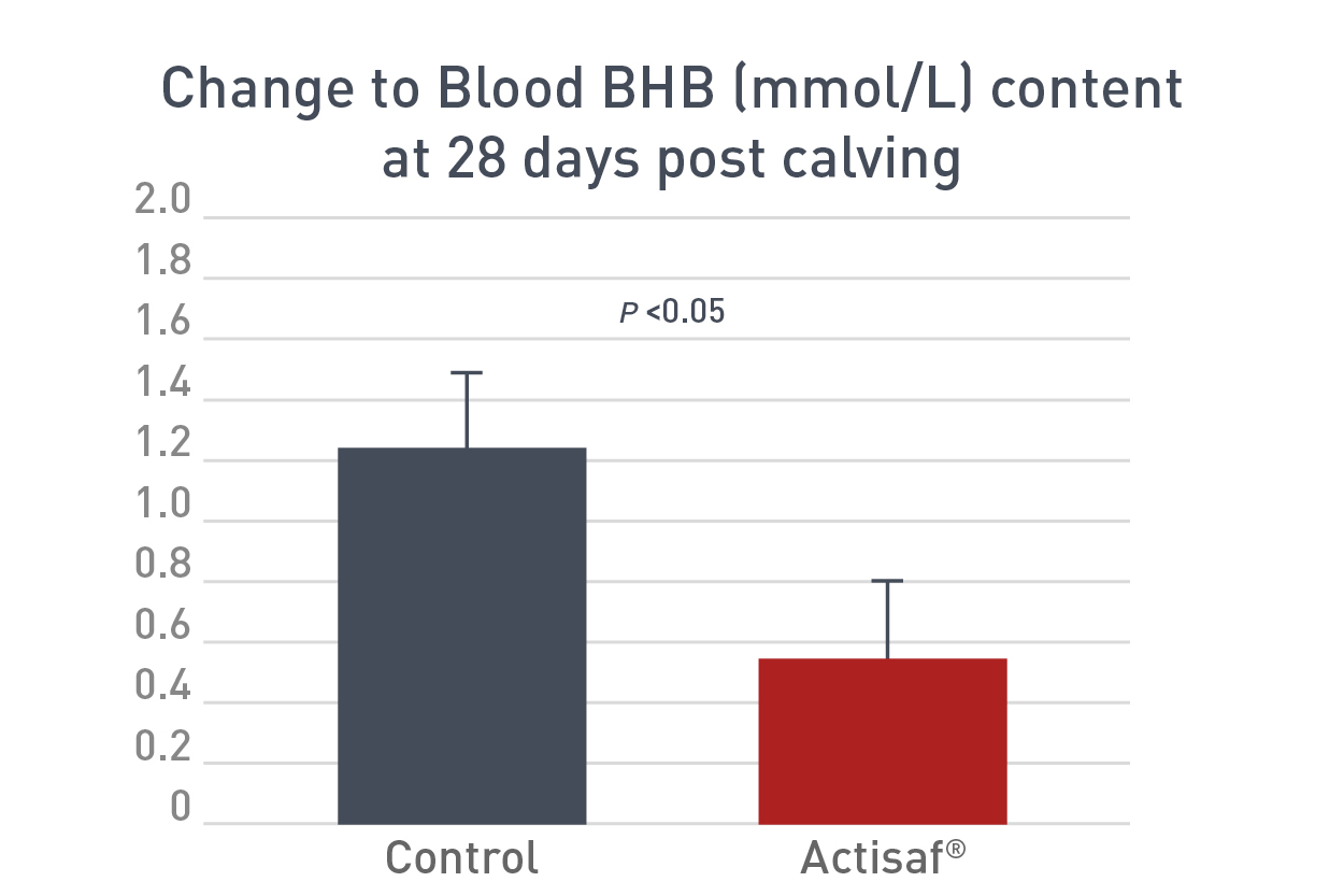 Blood BHB Bar Graph_v2.jpg