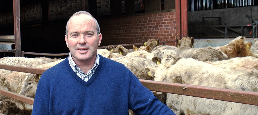 Attention to detail produces uniform, high quality cattle