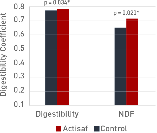 Effect of Actisaf® on NDF and overall digestibility