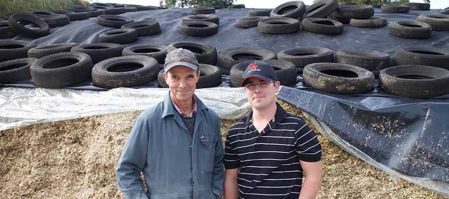 Actisaf® improves forage utilisation from silage and grazing