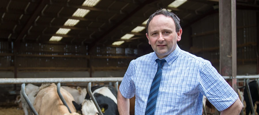 Actisaf® and Safmannan® support production of fantastic home-grown beef
