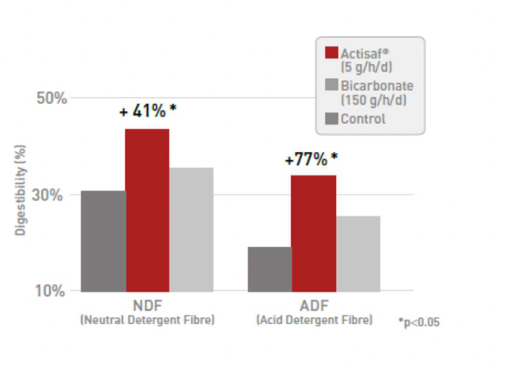 NDF and ADF digestibility.png