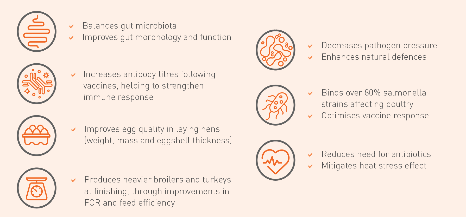 Benefits of Safmannan in Poultry
