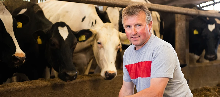 Actisaf® primes cows for the lactation diet