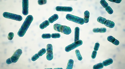 Feed the rumen microbes for improved feed efficiency in dairy herds