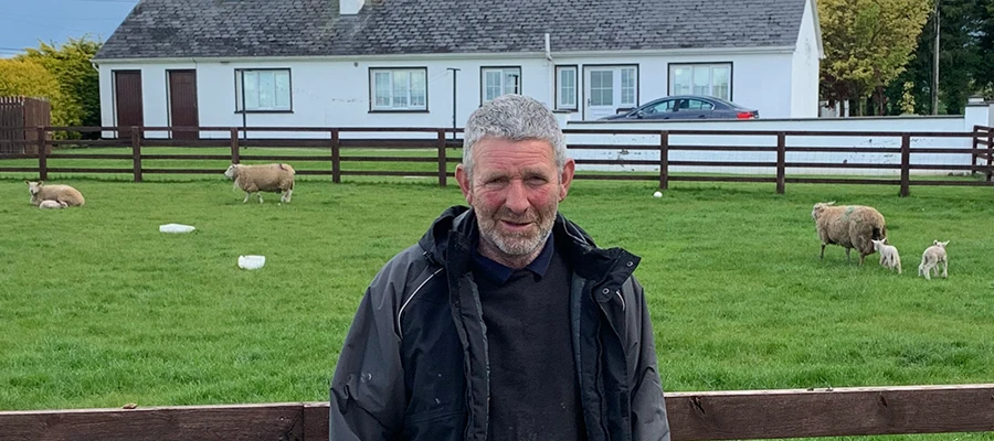 Switch to new concentrate feed supports lamb health and vigour