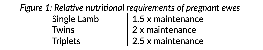 Relative nutritional requirement of pregnant ewes.png
