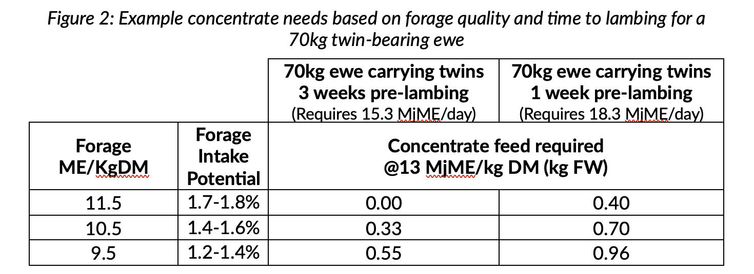 Example concentrate needs of pre-lambing ewes