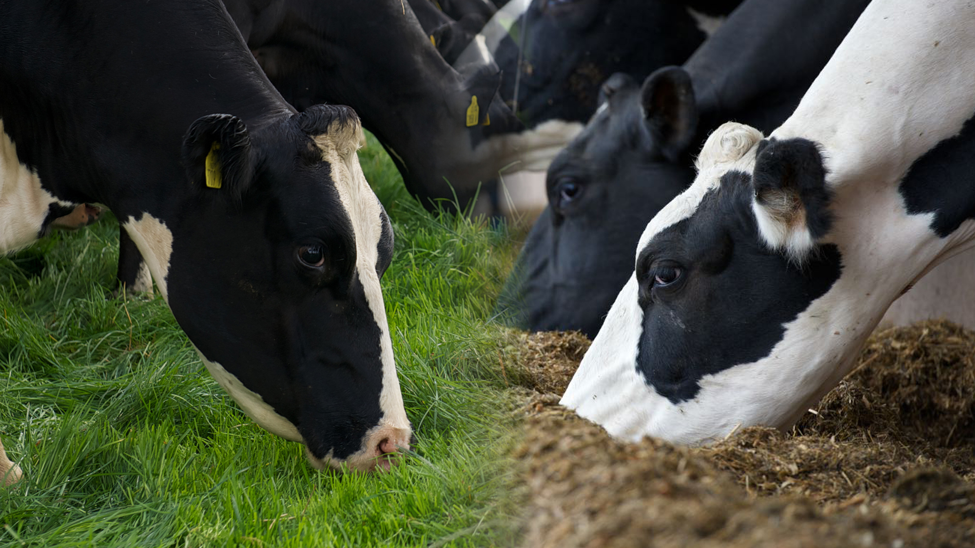 Practical ways to protect margins this spring