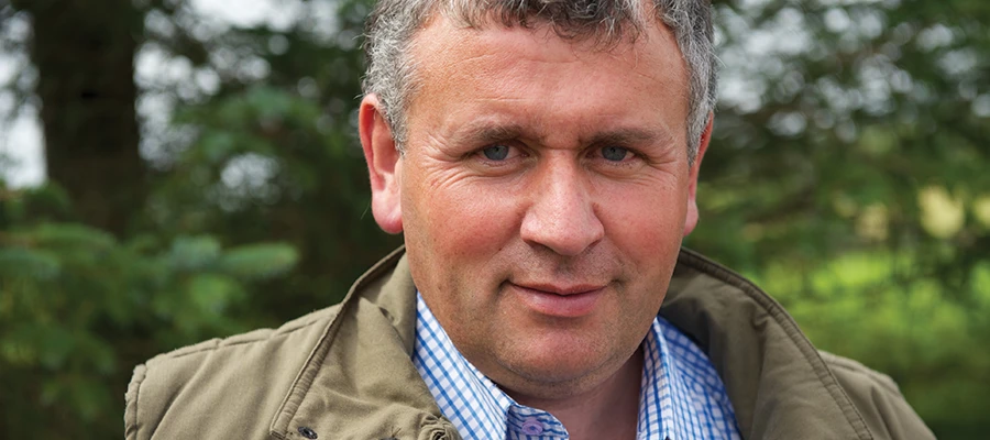 Improved health and performance for Texel flock