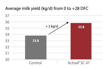 Early lactation yield.jpg