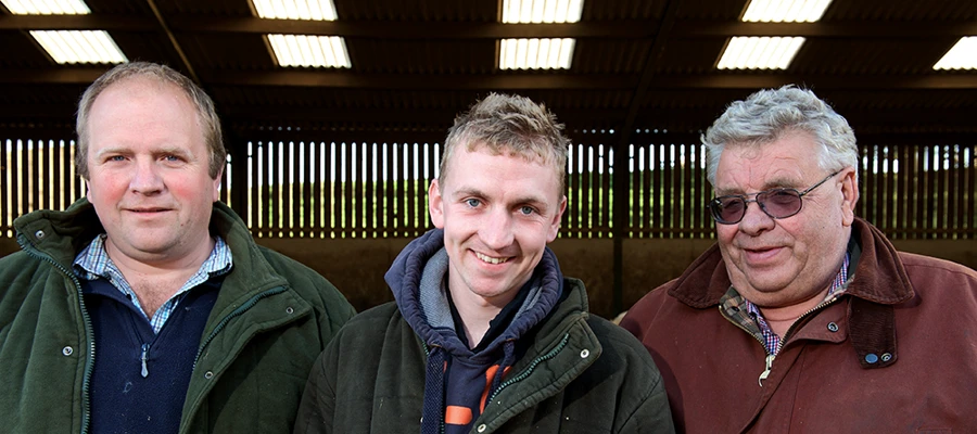 Actisaf® gives beef animals a boost