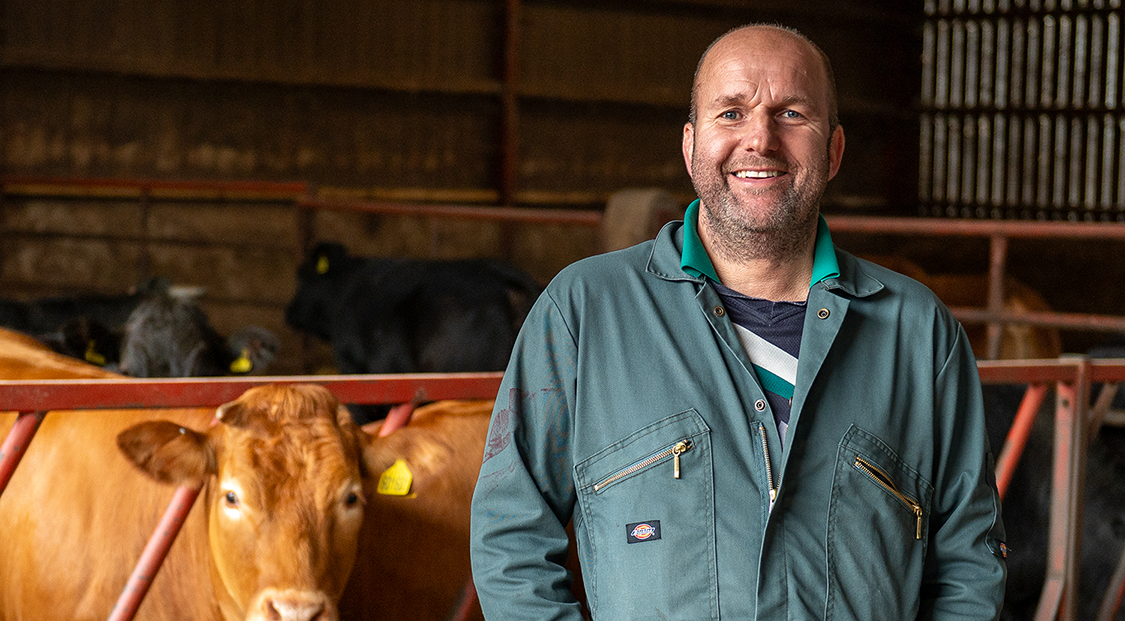 Improving rumen function and performance in beef cattle