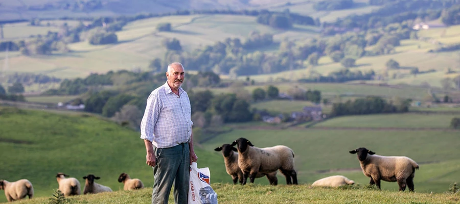 Actisaf® and Safmannan® improve lamb performance for Suffolk flock